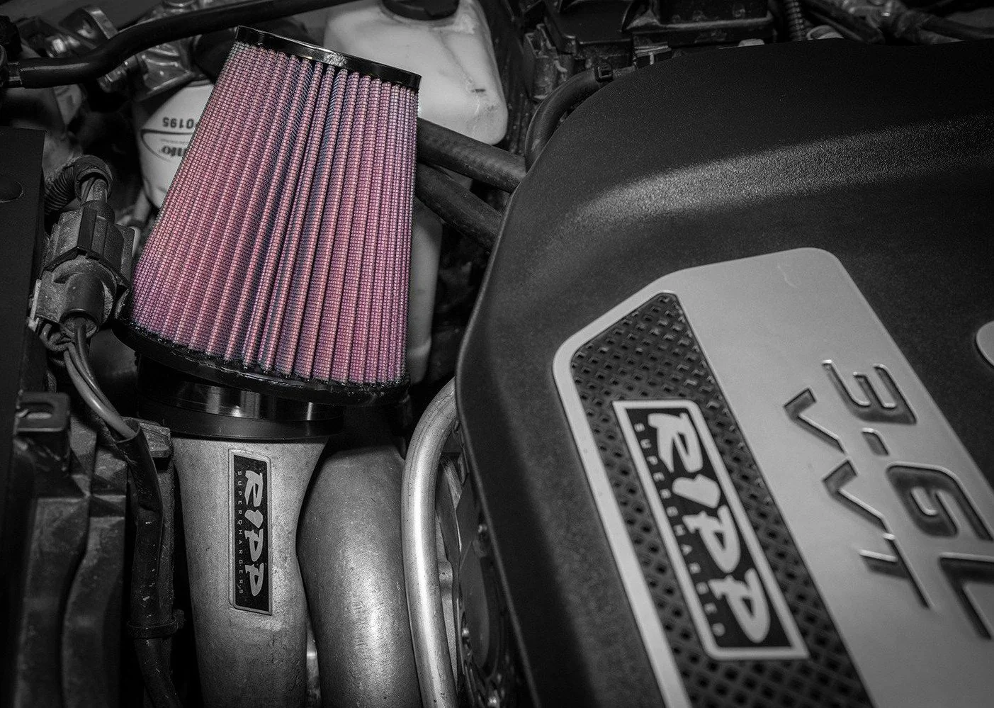 Replacement Air Filters for RIPP Supercharged Vehicles - Image 3